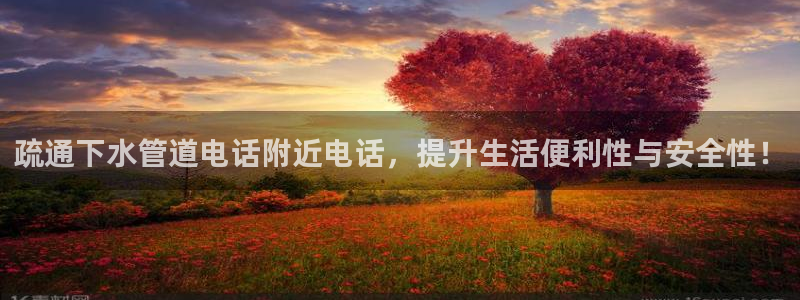 天辰娱乐1980