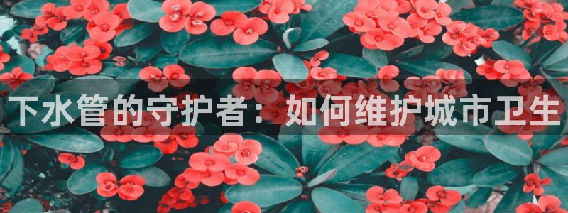 天辰辰娱乐代理