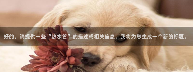 天辰娱乐957807