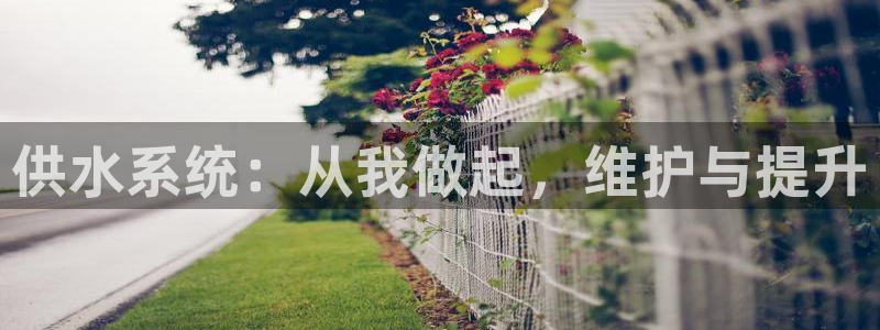 南充天辰娱乐