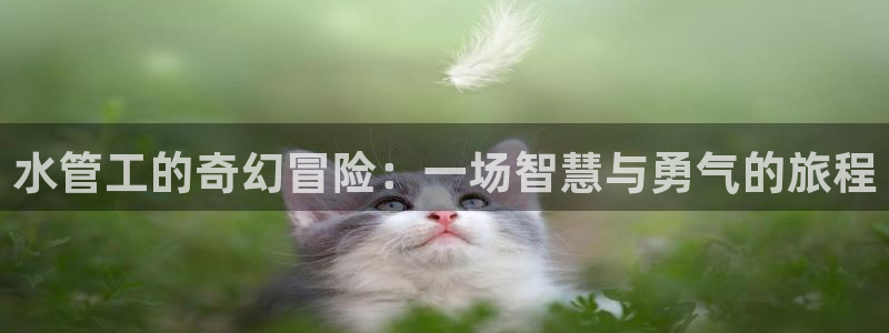 天辰团队贝高娱乐