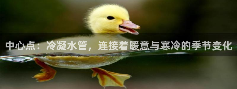 天辰娱乐电话