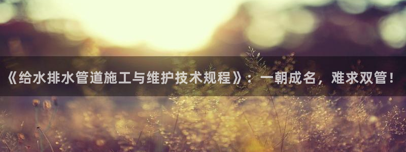 天辰娱乐客服