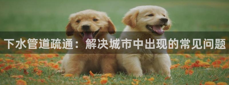 天辰臣娱乐