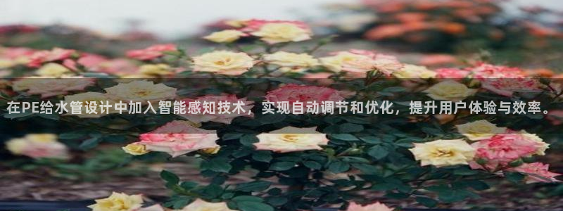 天辰娱乐 qq