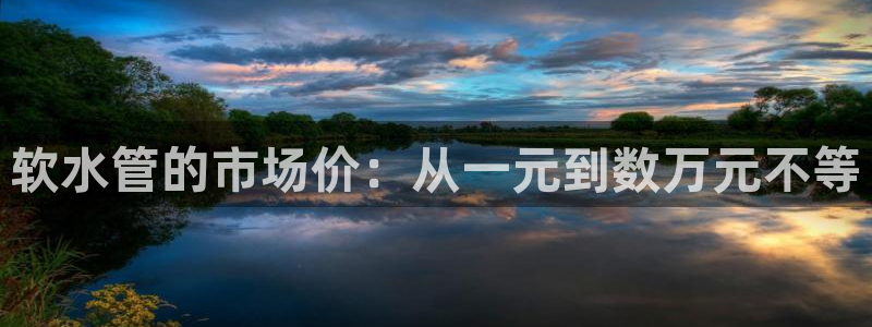 天辰娱乐黑人