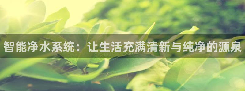 天辰娱乐天辰宝