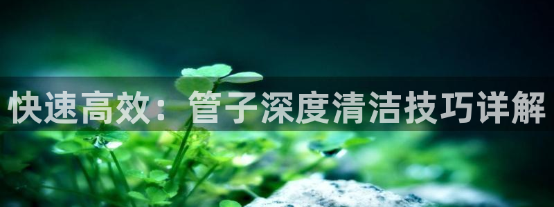 天辰娱乐跑的快