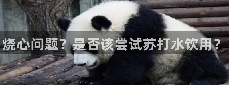 天辰娱乐棋牌