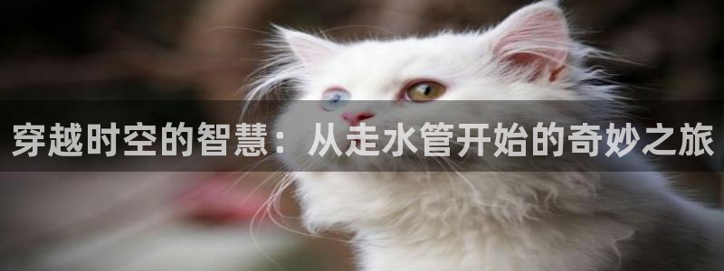 天辰娱乐总管