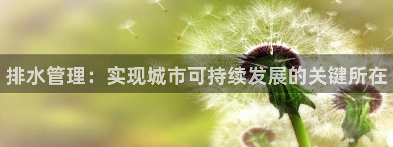 天辰娱乐厕所