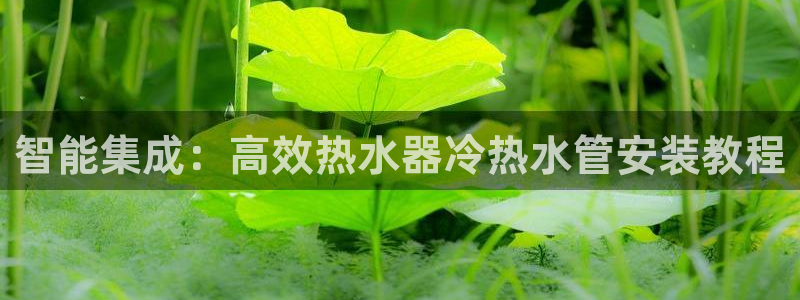 天辰娱乐44516