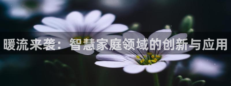 天辰 娱乐