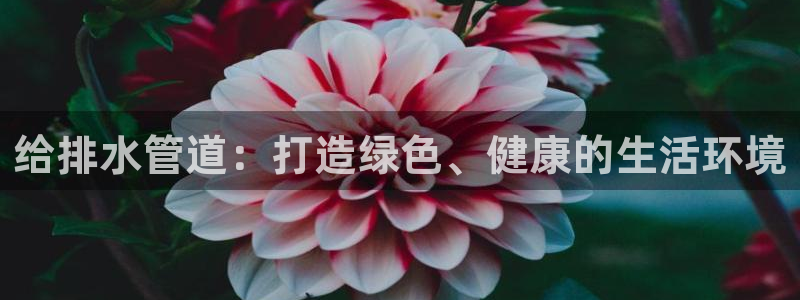 娱乐ktv天辰