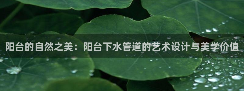 天辰娱乐75775