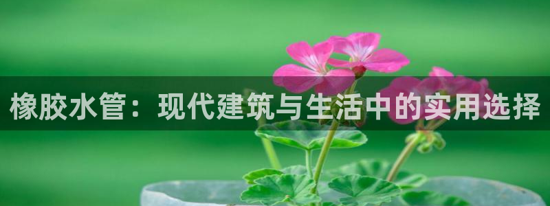 天辰娱乐网址娱乐游戏