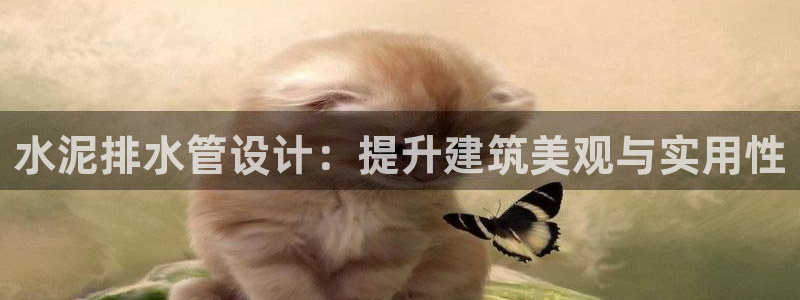 天辰娱乐游客