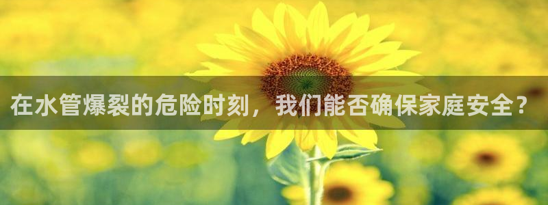 nba天辰娱乐
