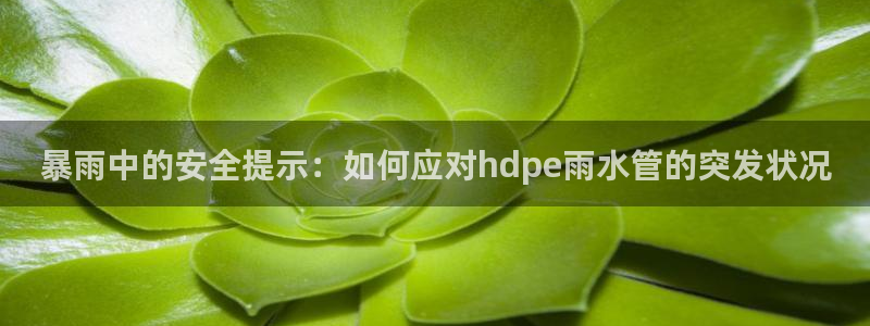 天辰娱乐 231639