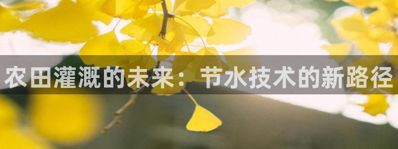 天辰娱乐跑的快