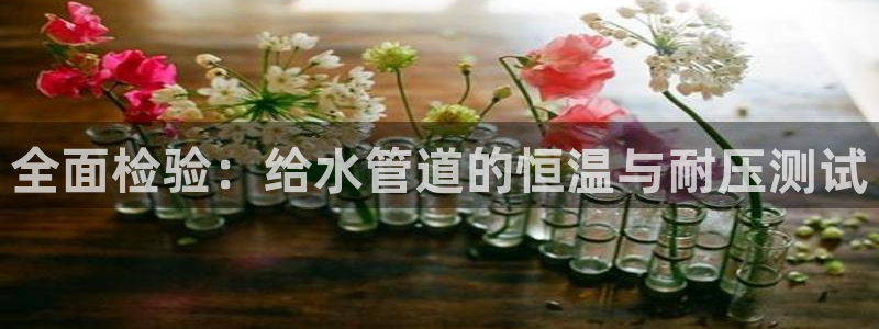 天辰娱乐官方