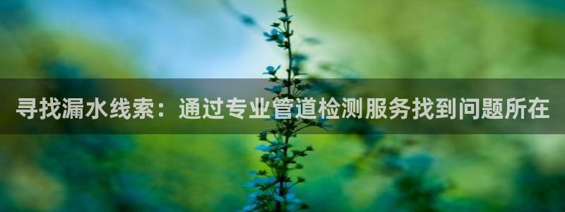 天辰娱乐首选