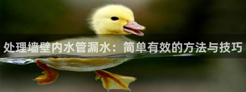 天辰娱乐60447