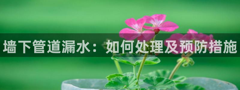 天辰娱乐主管