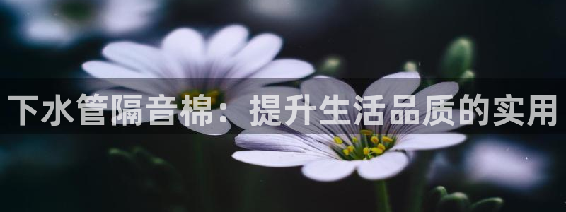 天辰娱乐直属