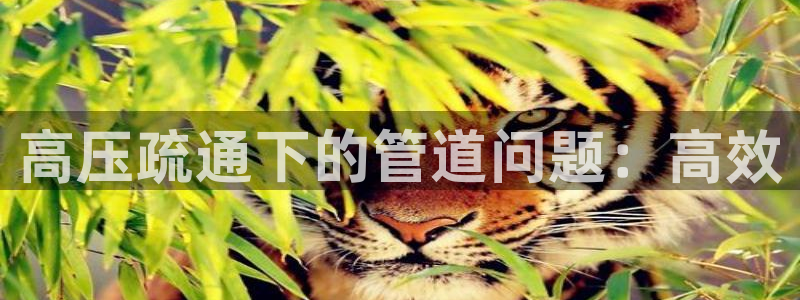 天辰娱乐会员
