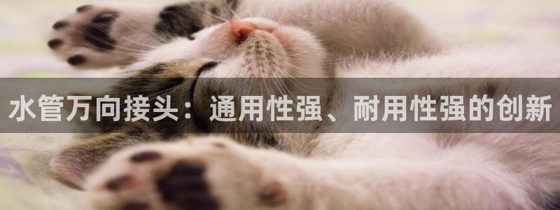 北京天辰娱乐