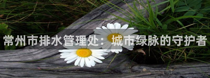 天辰娱乐官