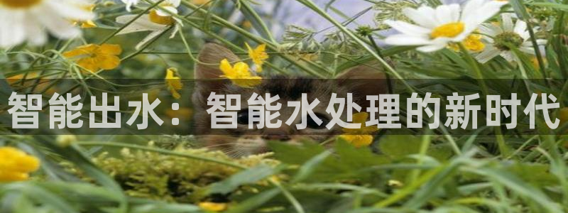 天辰娱乐 728567