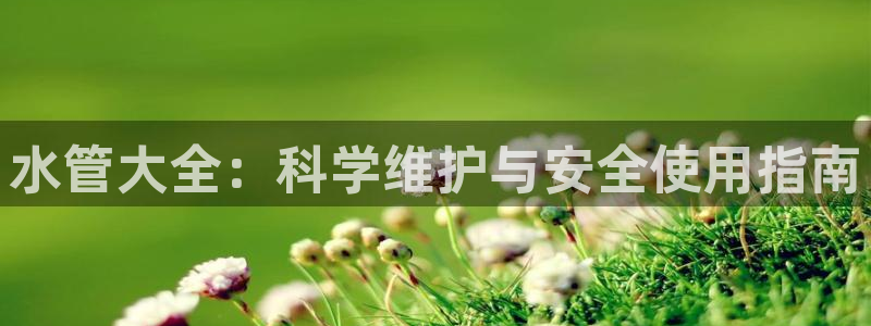 天辰娱乐 . 鱼刺