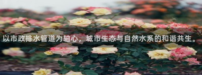 天辰app娱乐