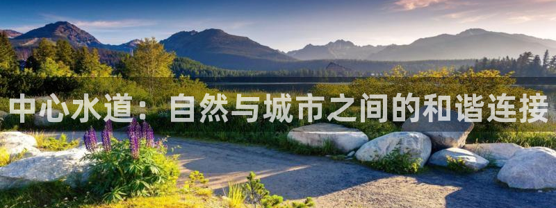 天辰娱乐招商
