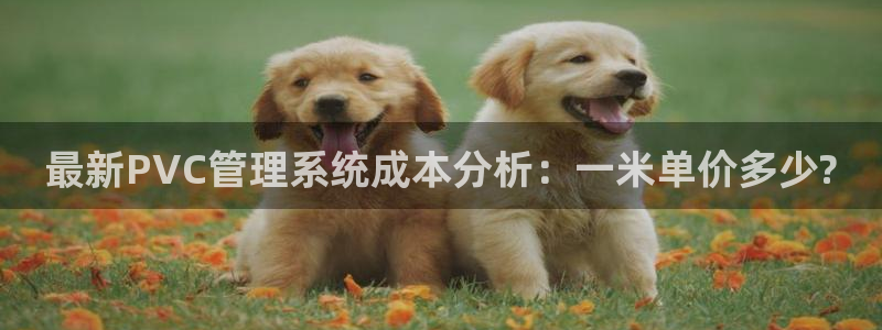 天辰娱乐元宝