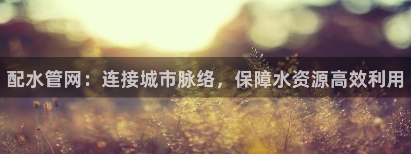 广东天辰娱乐