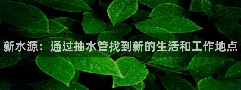 天辰娱乐61116