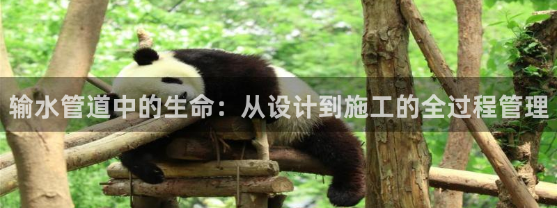 天辰娱乐分红