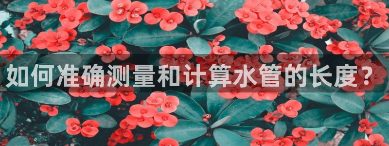 天辰娱乐好吗