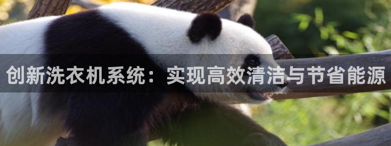 天辰娱乐新