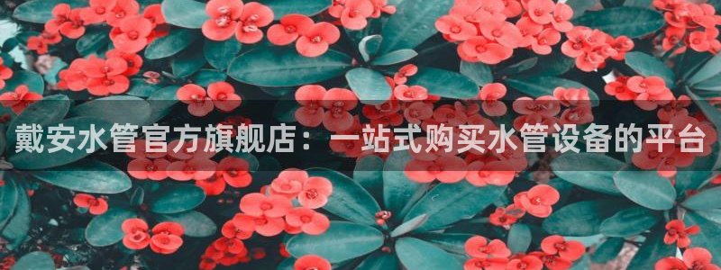 天辰娱乐728567