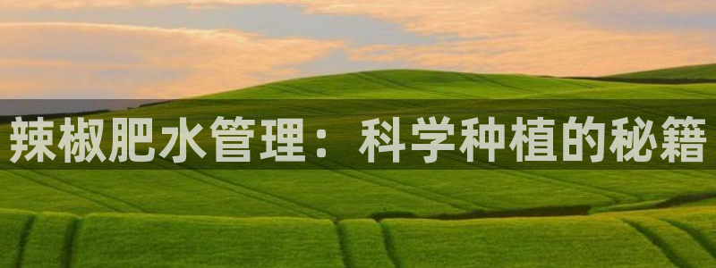 天辰娱乐平台测速