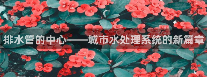 天辰娱乐台湾