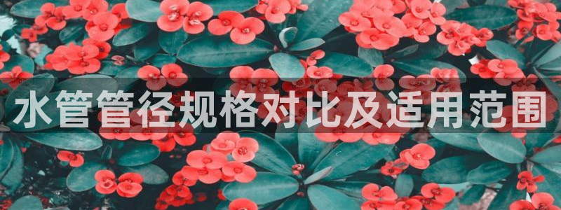 天辰娱乐总管