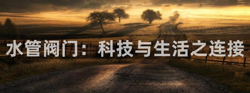 天辰娱乐天辰宝