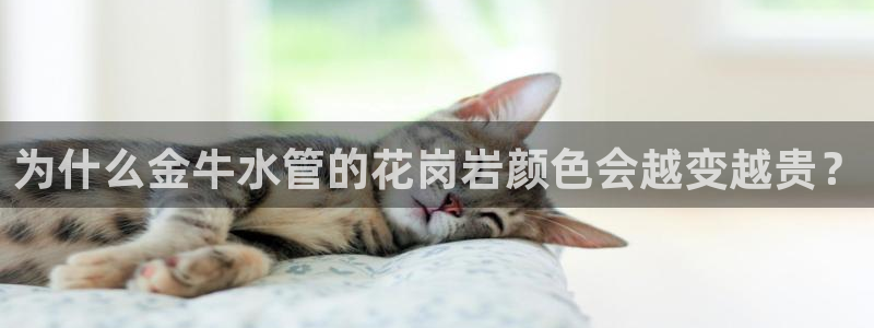 天辰娱乐60447