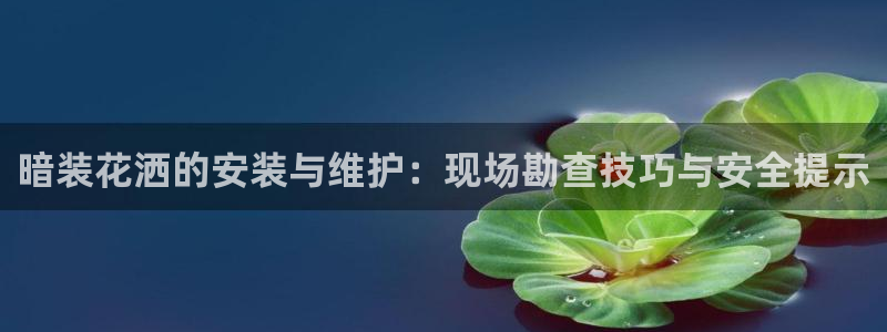 天辰娱乐 主管