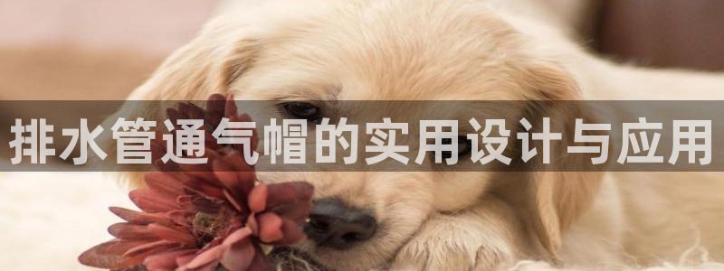 菲律宾天辰娱乐